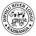 diphlu-river_logo