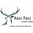 renipani_logo