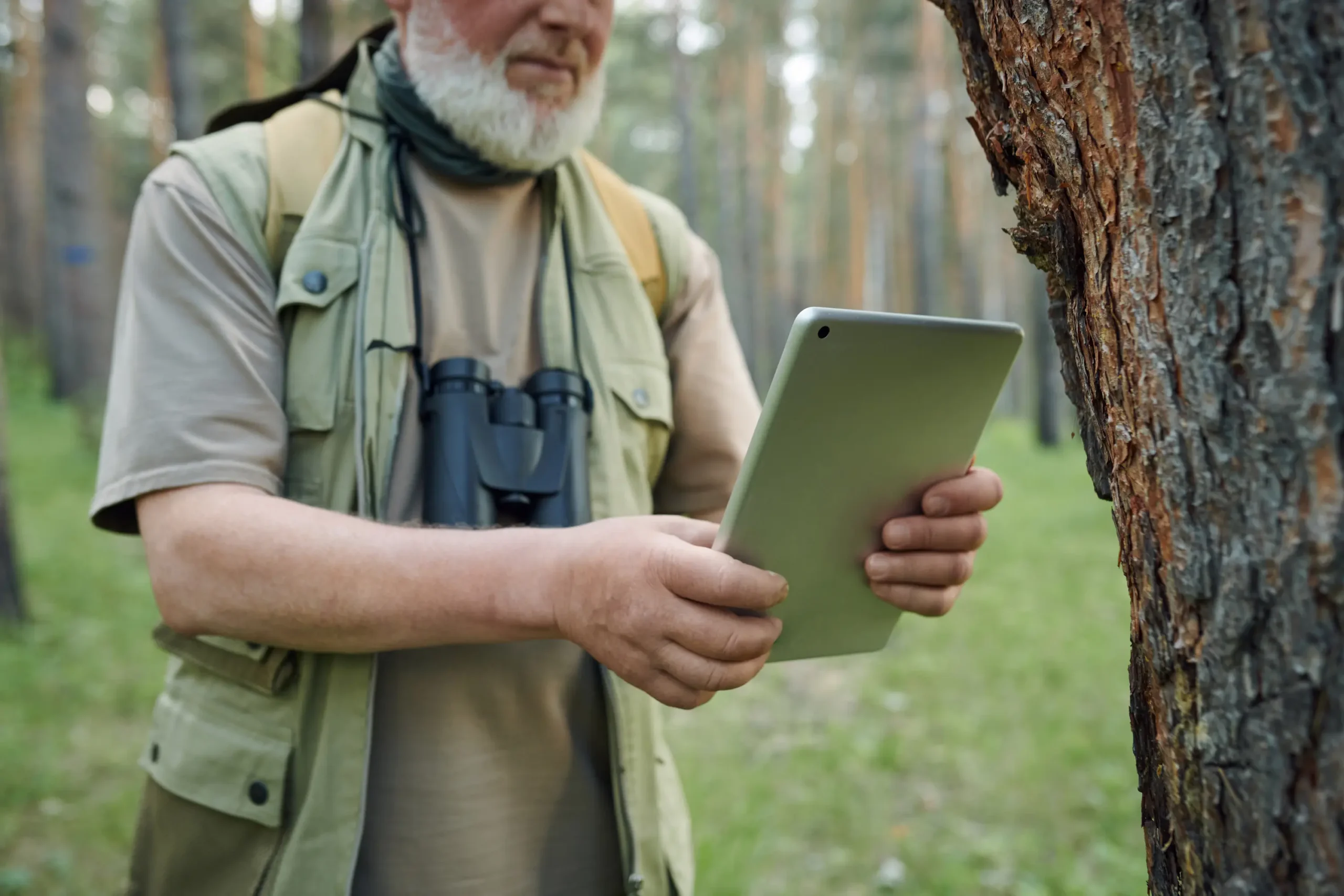 Read more about the article Digital Visitor‑Management Systems: Strengthening Wildlife Tourism Stewardship