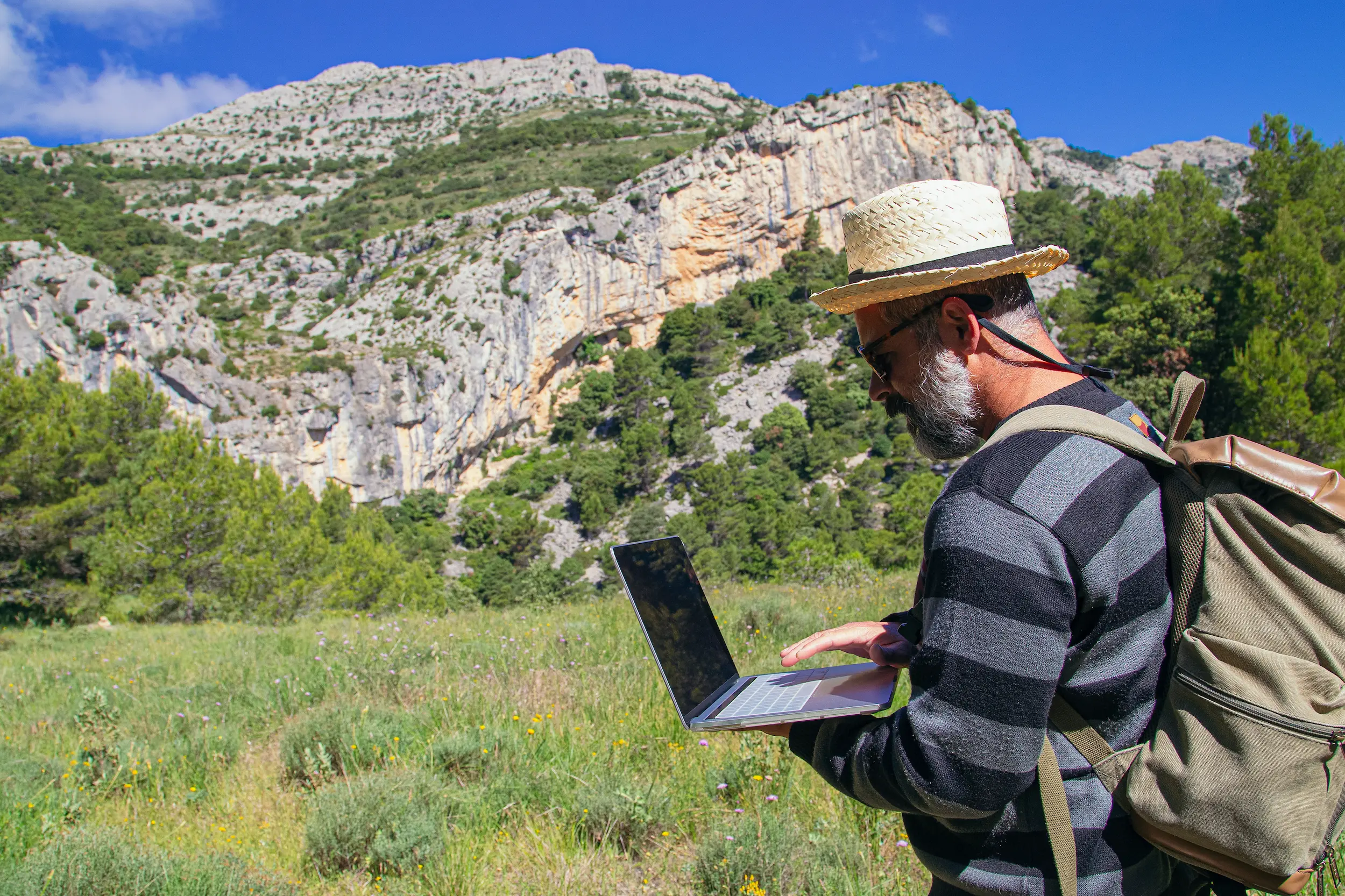 Read more about the article Digital Visitor‑Management Systems: Strengthening Wildlife Tourism Stewardship